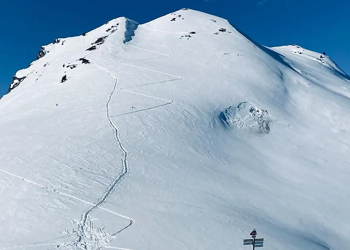 Fleurettes Ле-Шабль