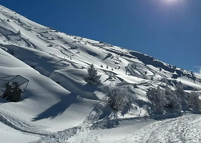 Fleurettes 3* Ле-Шабль