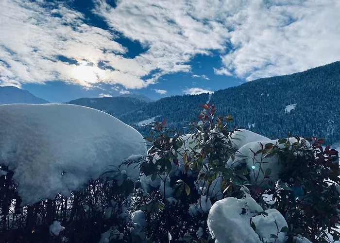 Fleurettes Гостевой дом Ле-Шабль