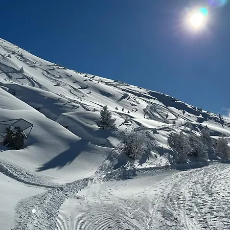 Fleurettes 3* Le Châble
